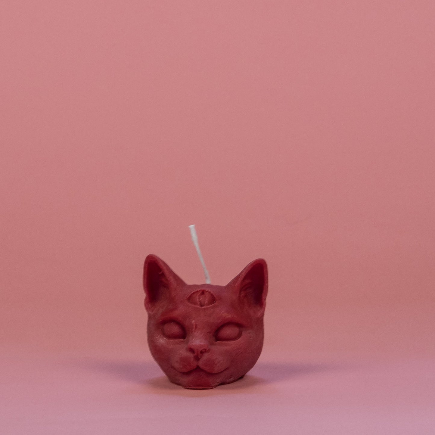 chat troisième oeil