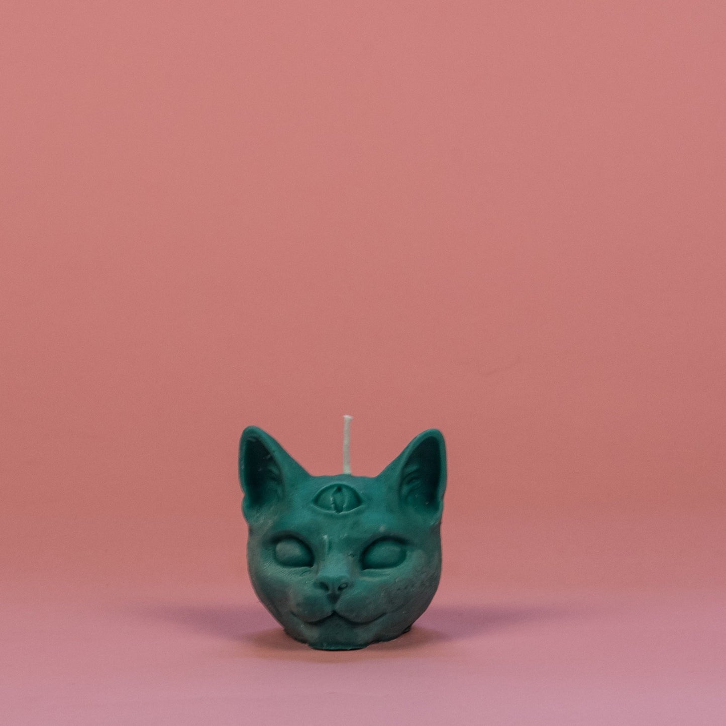 chat troisième oeil