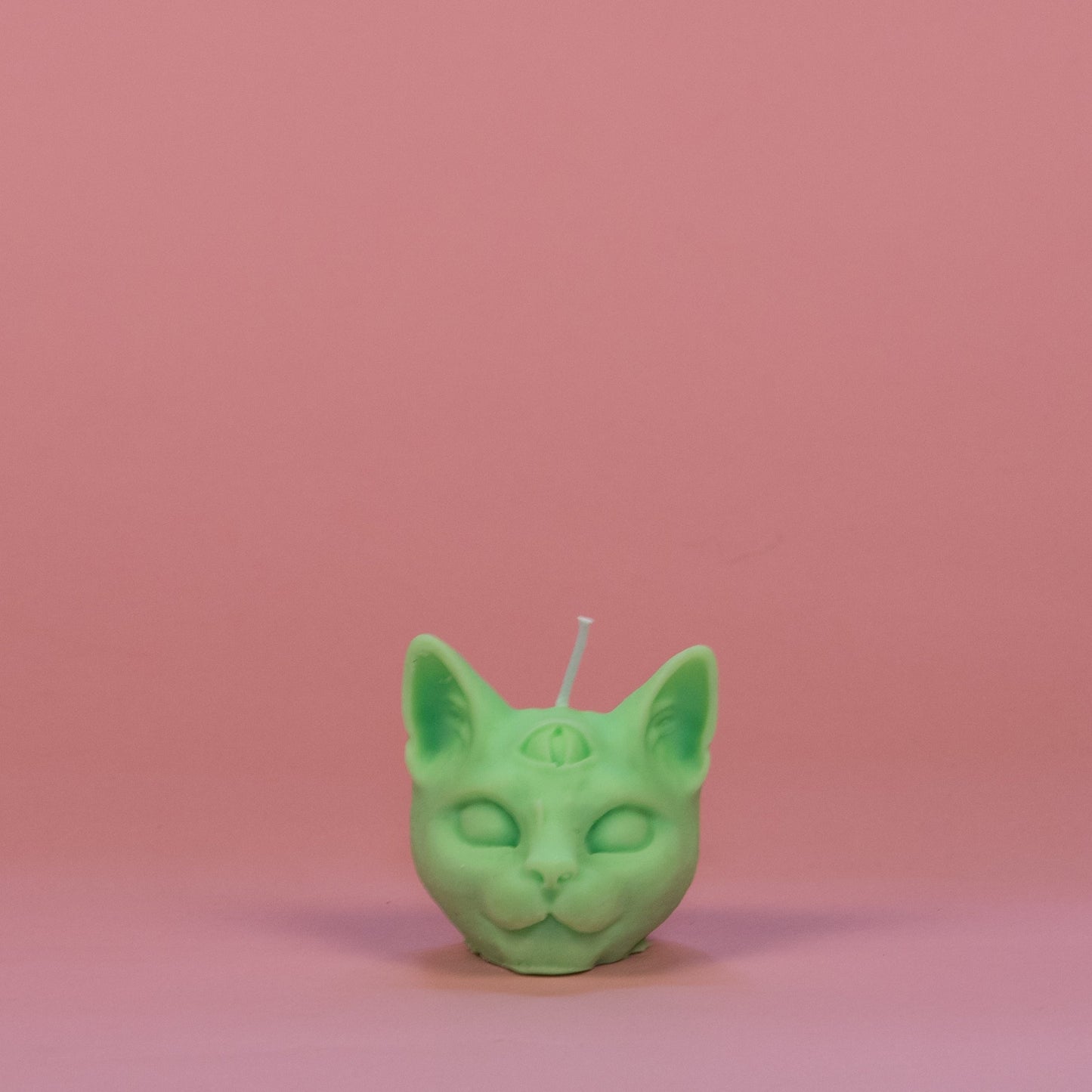 chat troisième oeil