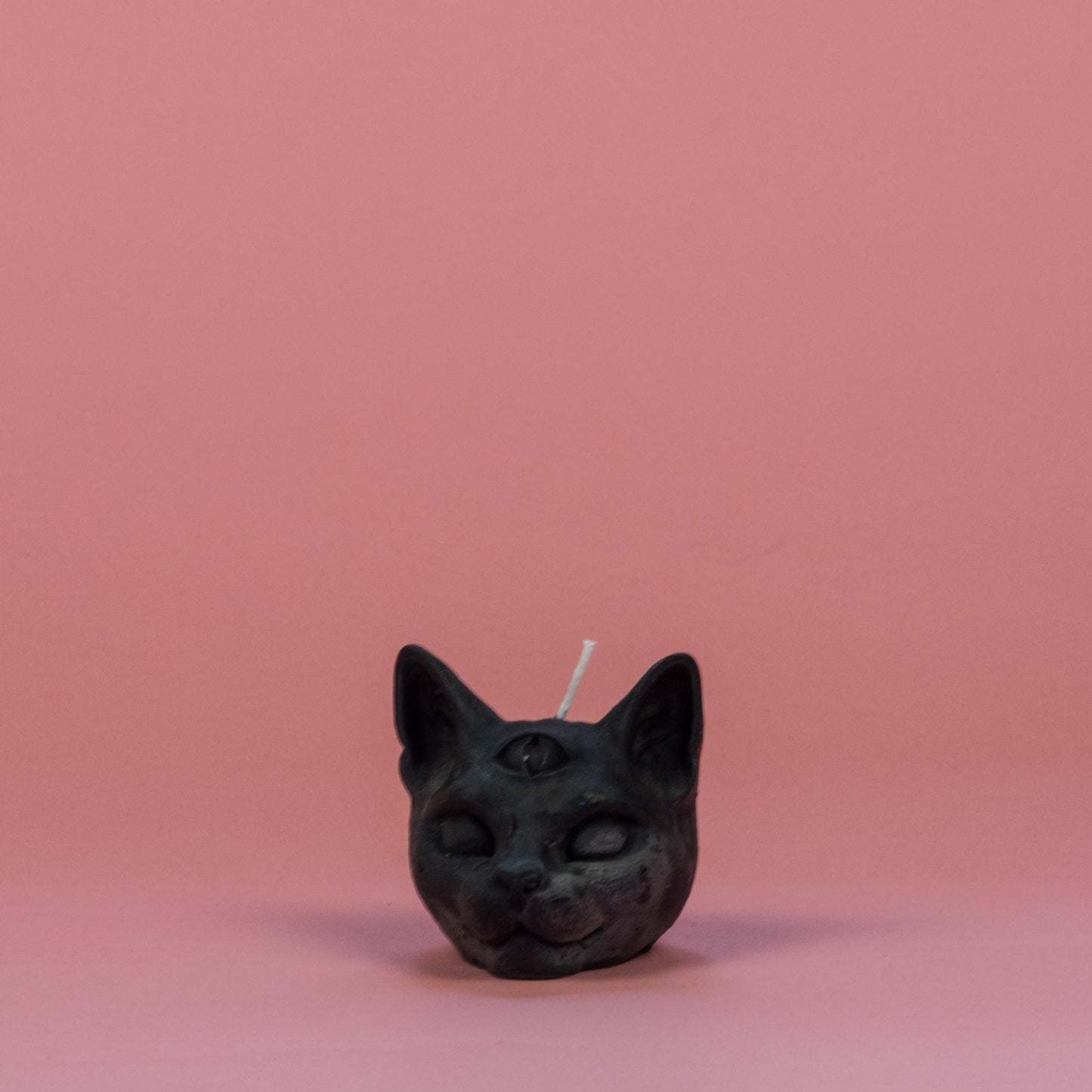 chat troisième oeil