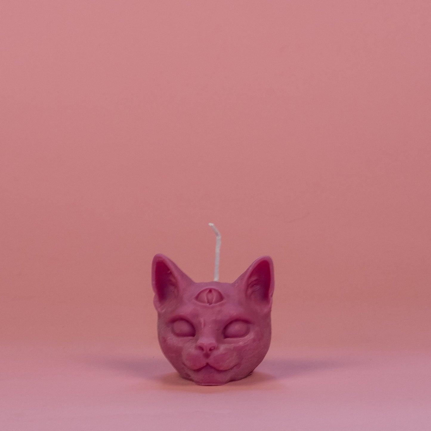 chat troisième oeil