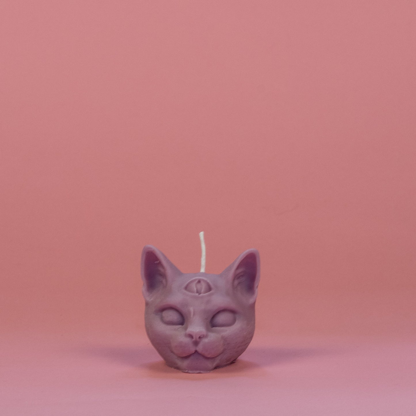 chat troisième oeil