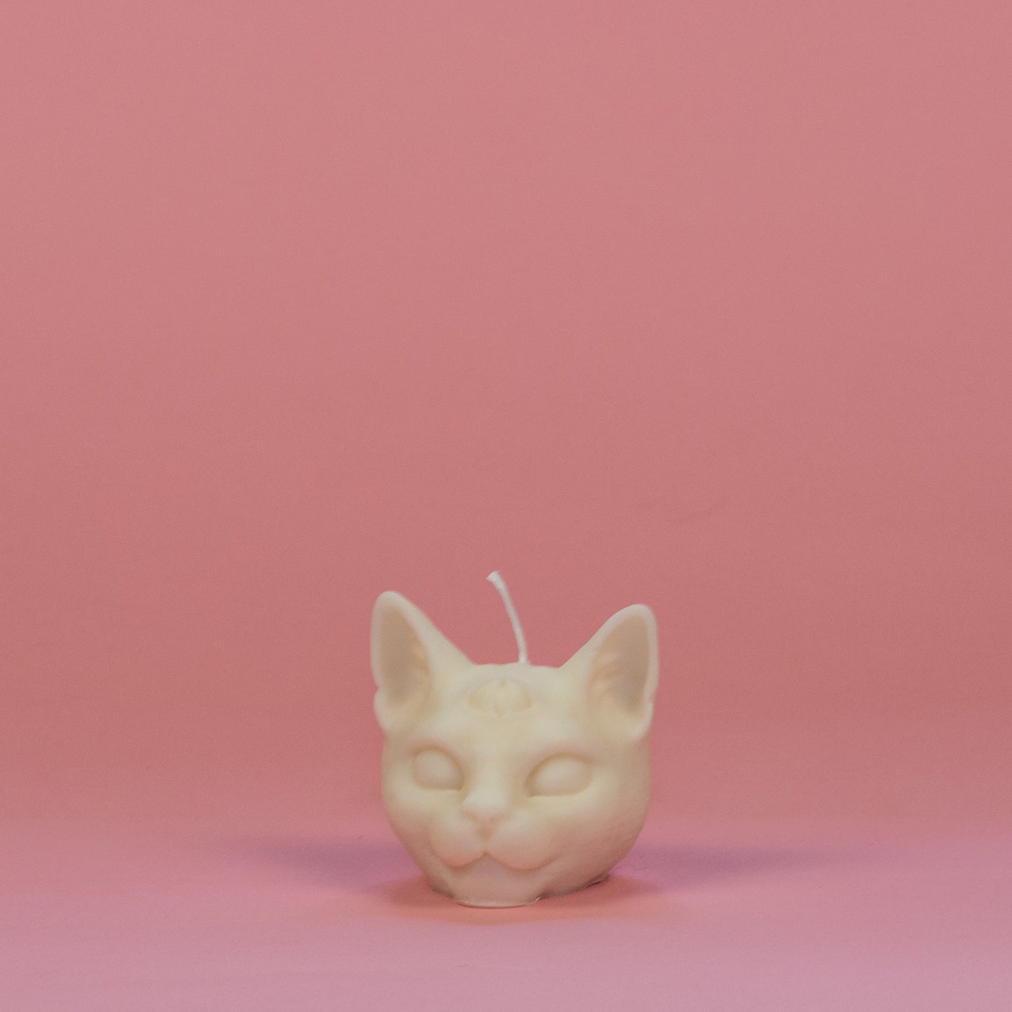 chat troisième oeil