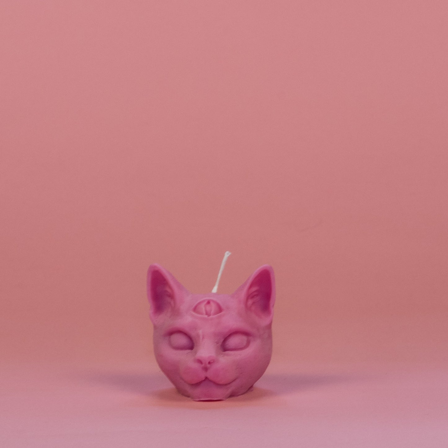 chat troisième oeil
