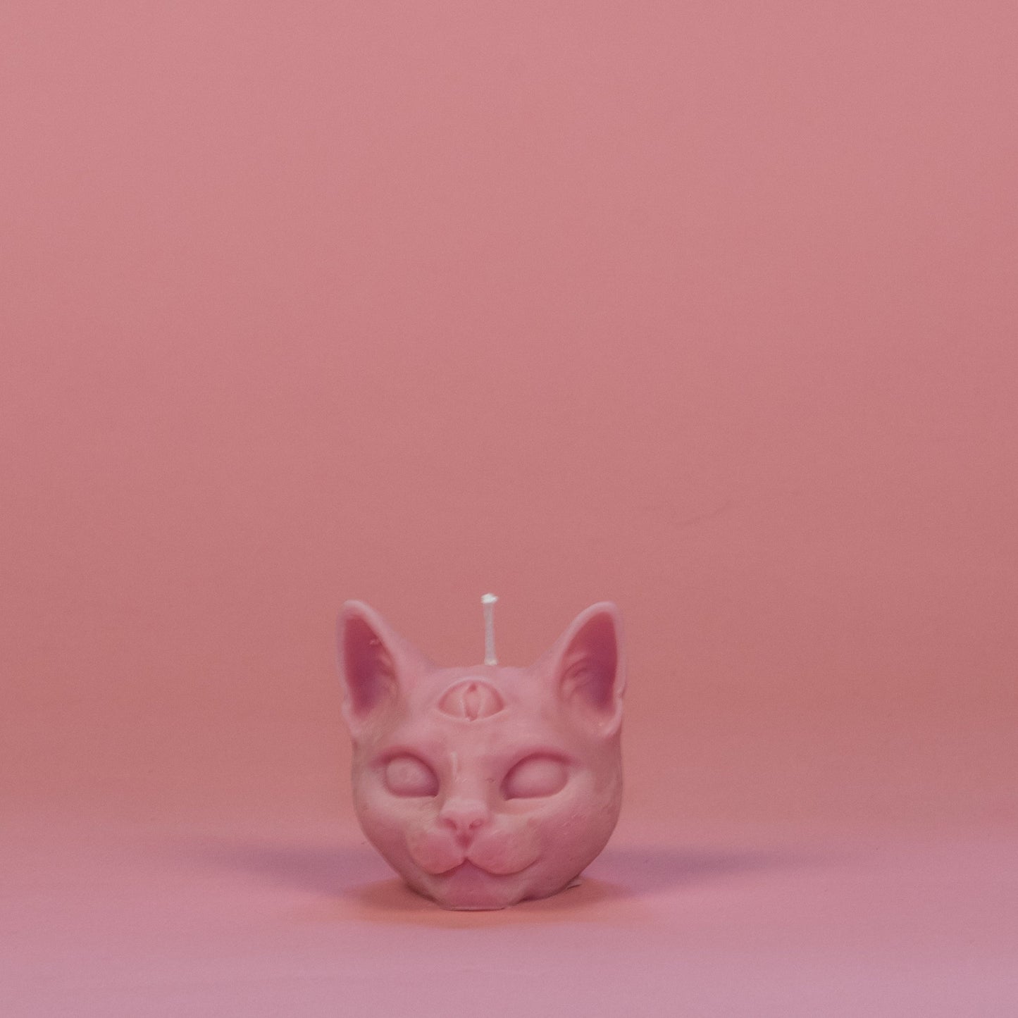 chat troisième oeil