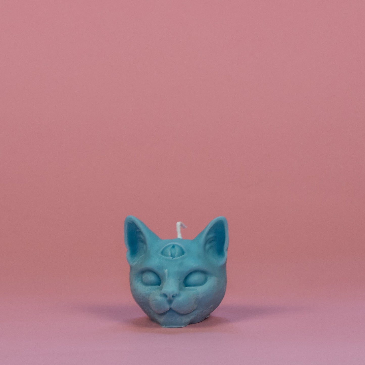 chat troisième oeil