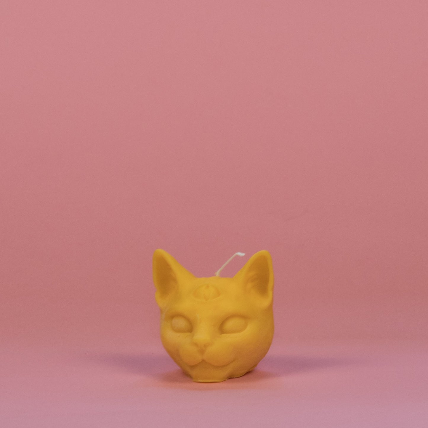 chat troisième oeil