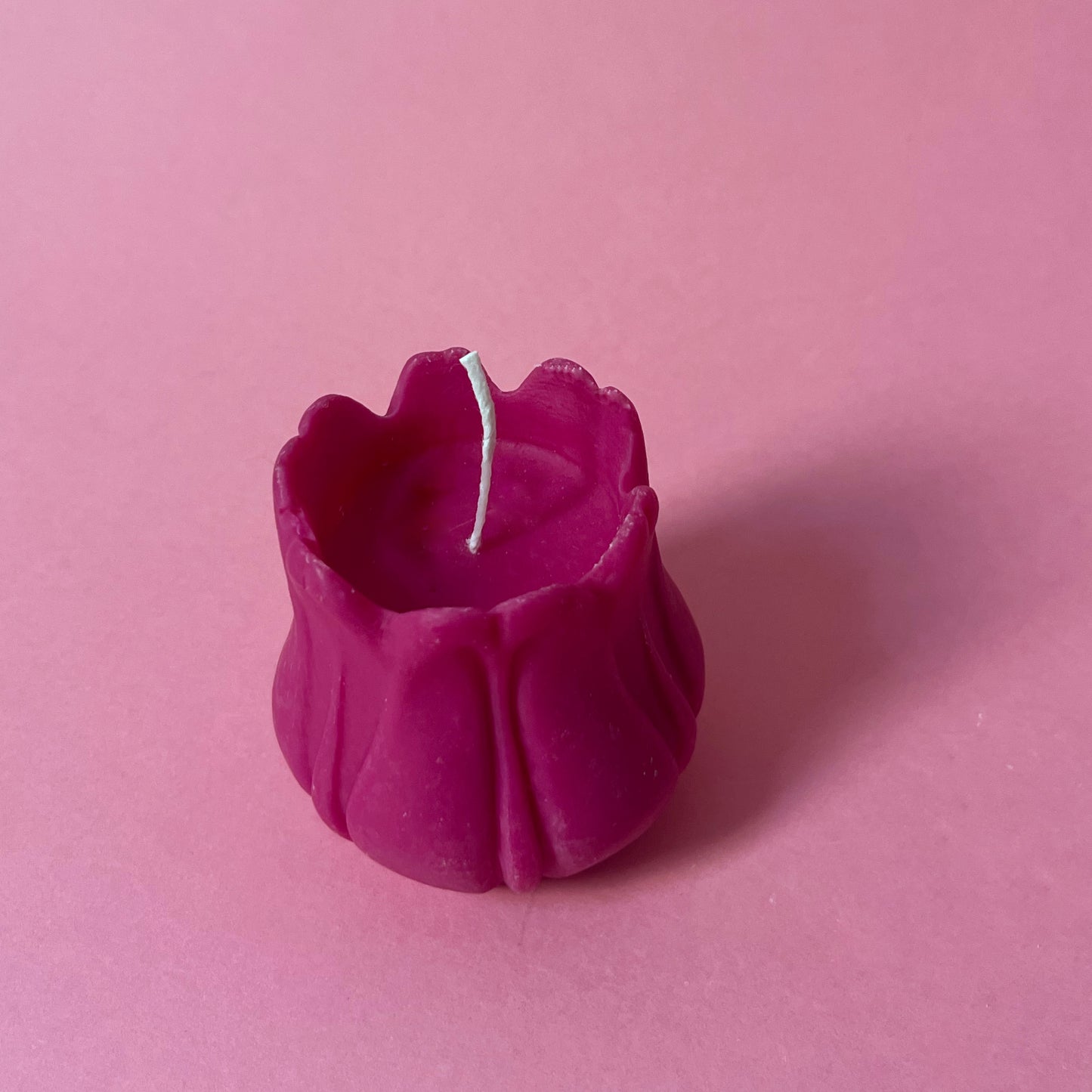 Fleurs