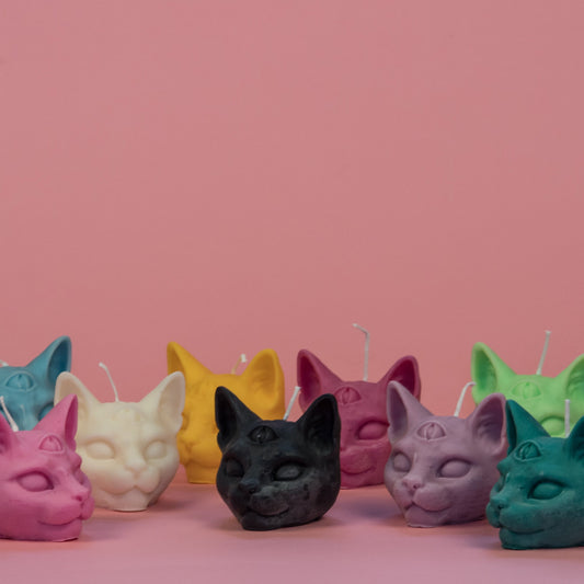 chat troisième oeil